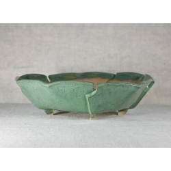 Bonsai  Pot Φ 22 h-6 cm (Φ...