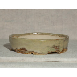 Bonsai  Pot Φ 19 h-4 cm (Φ...